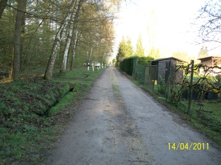 images/Fotos/garten/Arbeitsdienst2011/Weg/Wegalt2.jpg